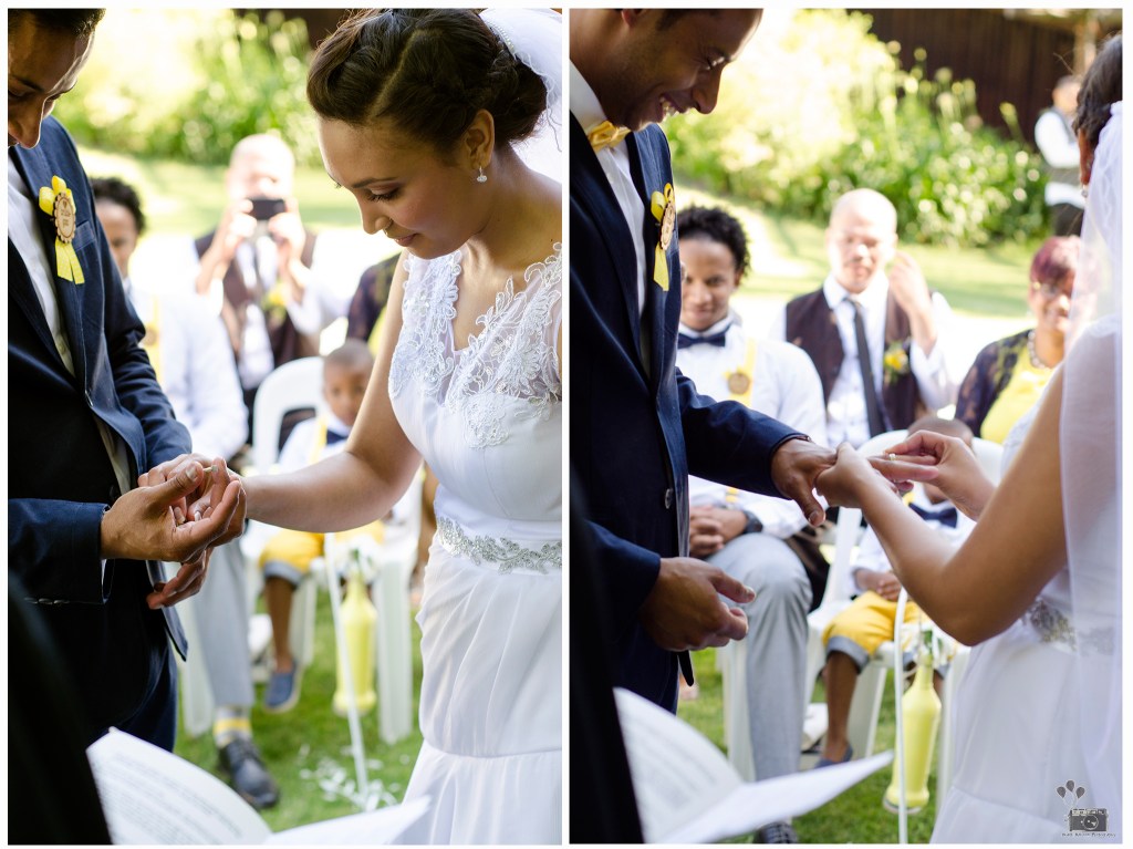 new template web cop777y