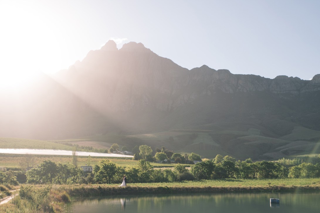 coeniegeraldine_bbp433