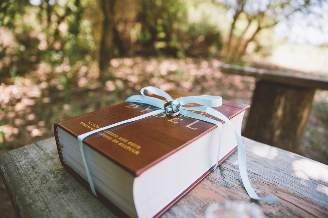 stephanvickey_bbp-063