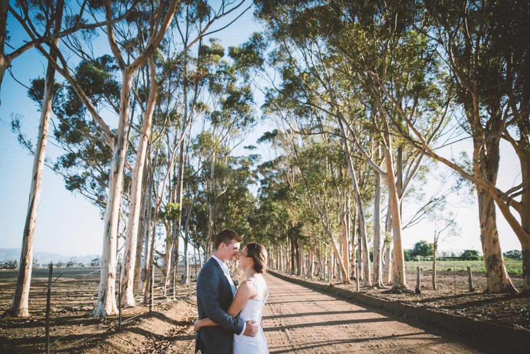 stephanvickey_bbp-543