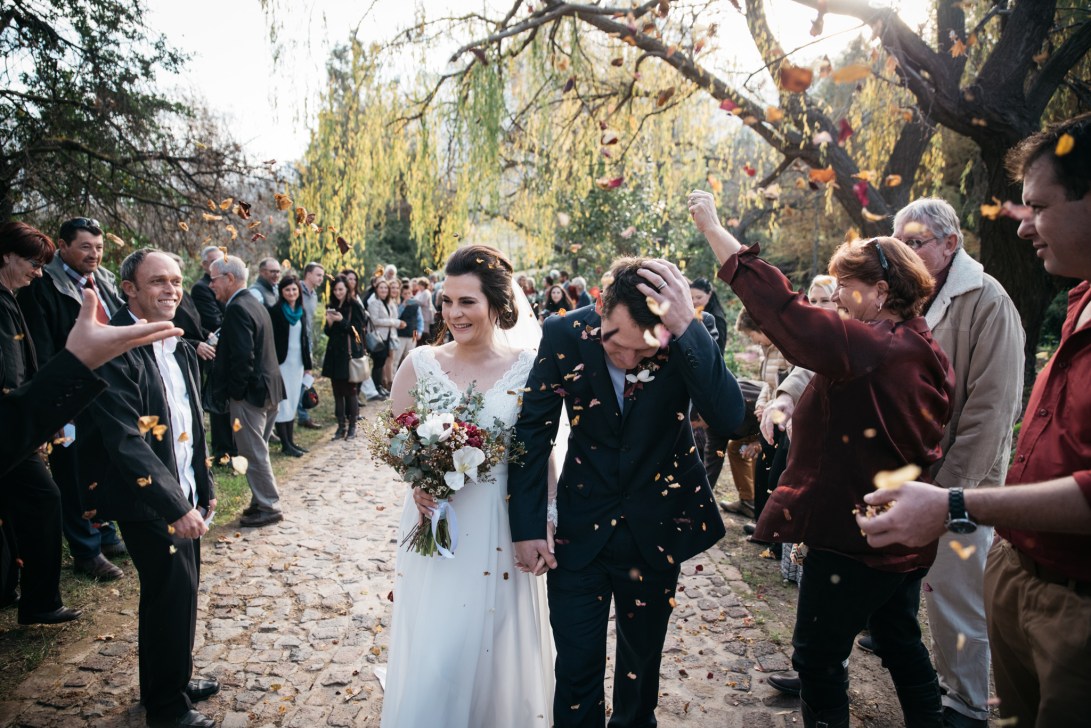 AndreGerna_BBP337 copy