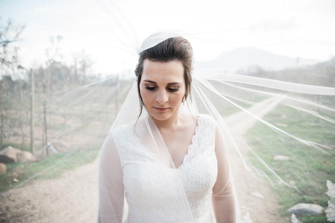 AndreGerna_BBP414 copy