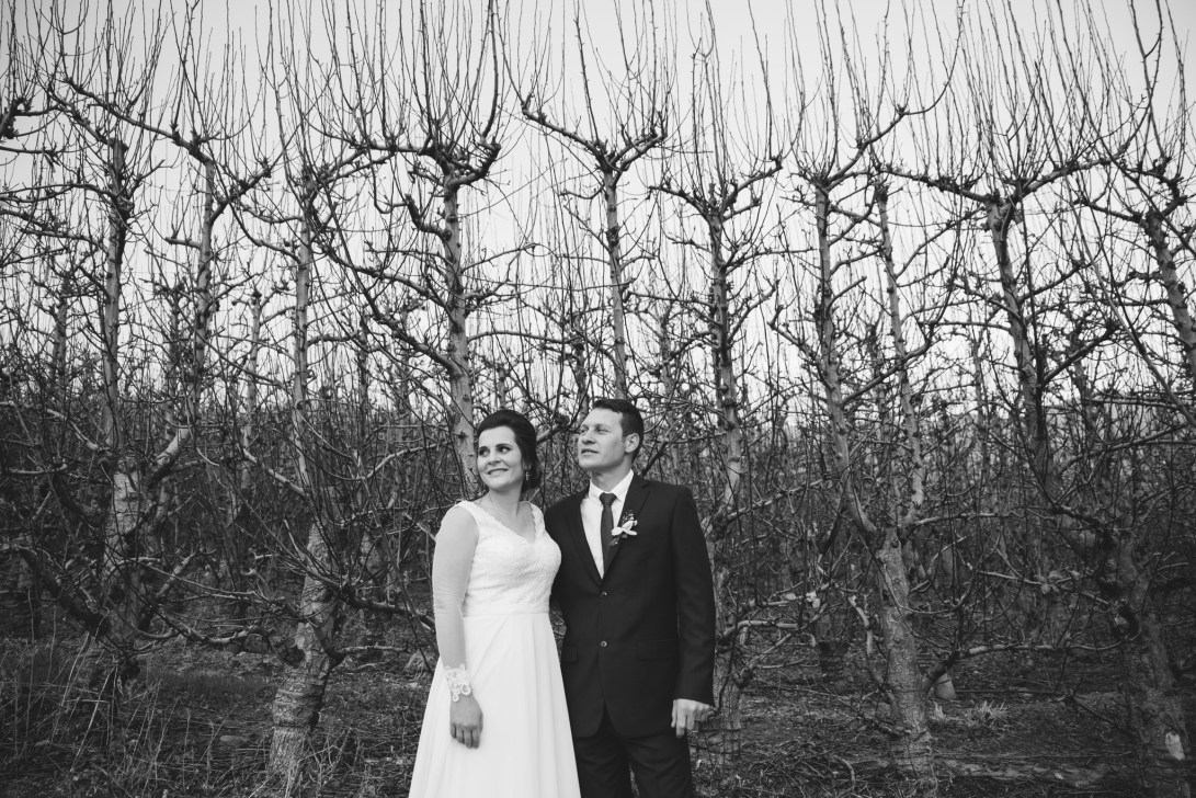 AndreGerna_BBP472 copy